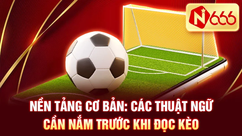 Nền tảng cơ bản: Các thuật ngữ cần nắm trước khi đọc kèo