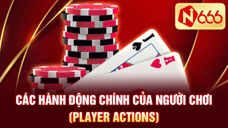 Các hành động chính của người chơi (Player Actions)