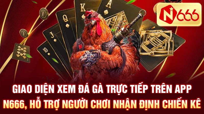  Giao diện xem đá gà trực tiếp trên app n666, hỗ trợ người chơi nhận định chiến kê.
